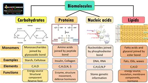 Understanding Molecules and Their Behavior