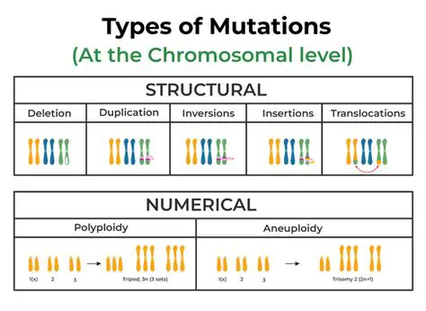 Understanding Mutations and Promotion of Positions