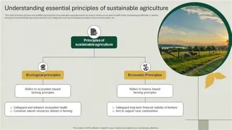Understanding Netherrack Farming