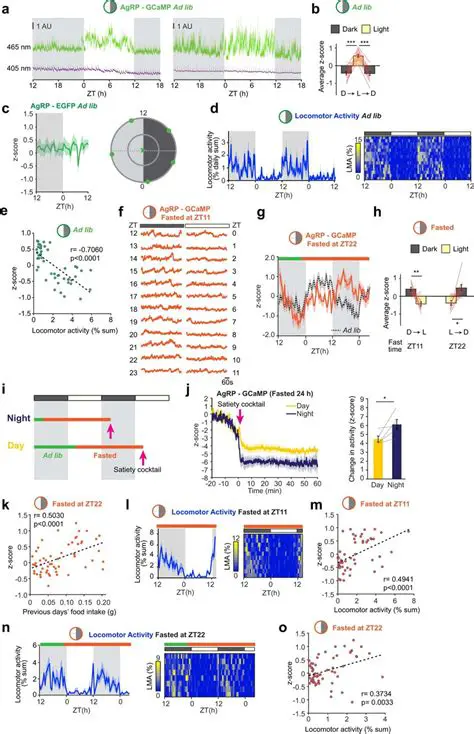 Understanding Neuron Traces