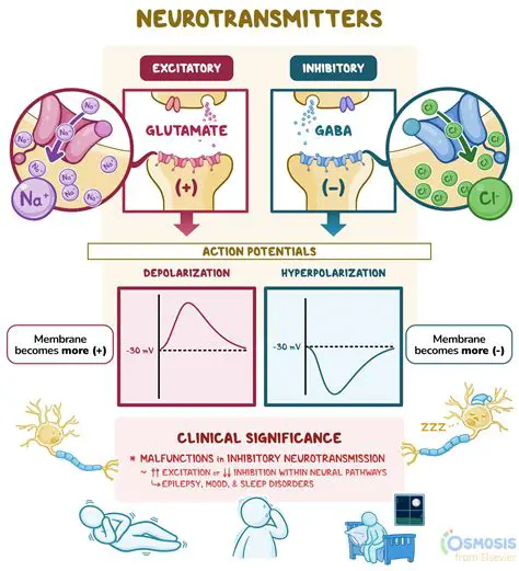 Understanding Neurotransmitters and Signaling Chemicals