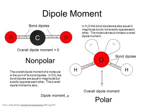 Understanding Nonpolar Covalent Molecules