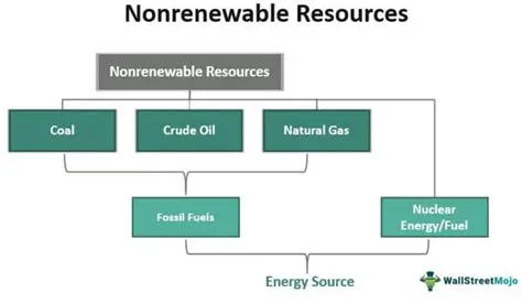 Understanding Nonrenewable Resources