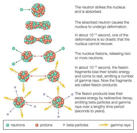 Understanding Nuclear Fission and the Periodic Table