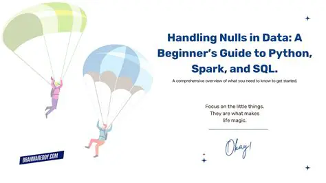 Understanding NULLs in Data