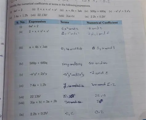 Understanding Numerical Coefficients