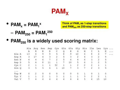 Understanding PAMx Encoded Signals