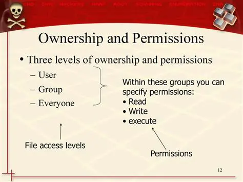 Understanding Partition Ownership and Permissions