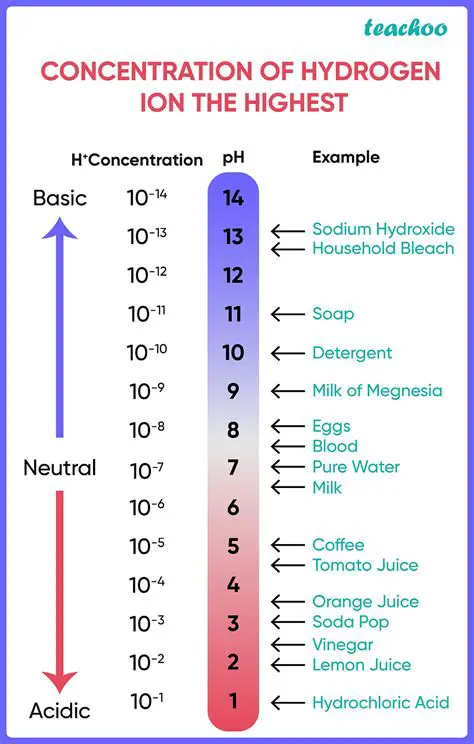 Understanding pH and Hydrogen Ion Concentration