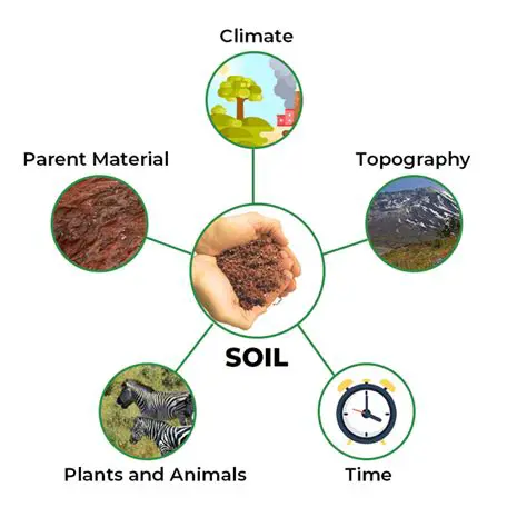 Understanding Pollution Sources and the Formation of Soil
