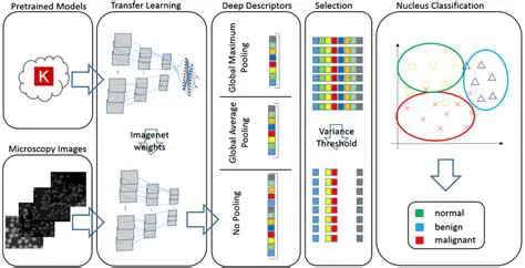 Understanding Pretrained Models