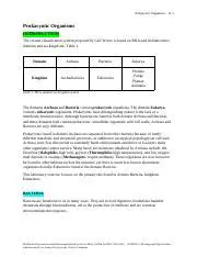 Understanding Prokaryotic Organisms