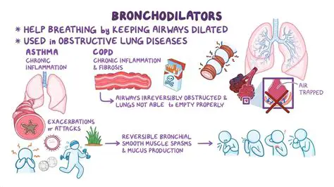 Understanding Prophylactic Agents for Bronchoconstriction