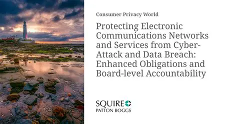 Understanding the PSE Law: Protecting Electronic Information and Transactions