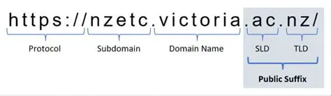 Understanding Public Suffix Domains