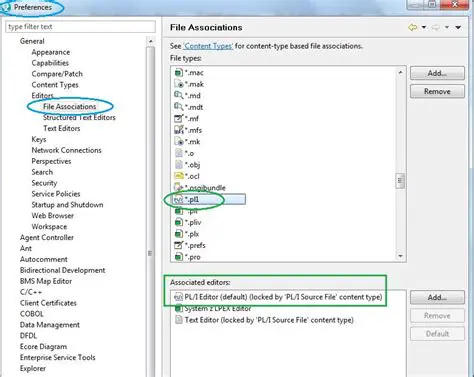 Understanding R Versions and File Associations