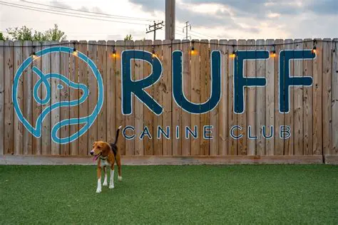 Understanding Ruff and ANN Rules