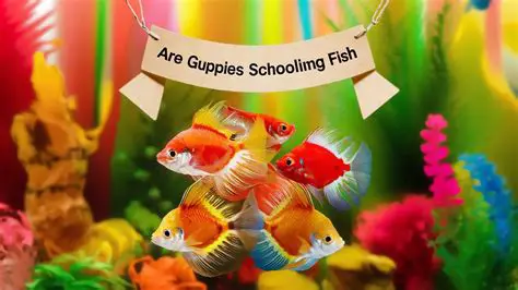 Understanding Schooling Behavior in Guppies