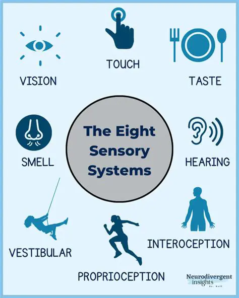Understanding Sensory Details of Sight