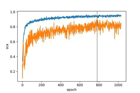 Understanding Sparse Categorical Accuracy