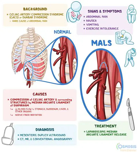 Understanding Syndrome Measurement and Destructive Measurement