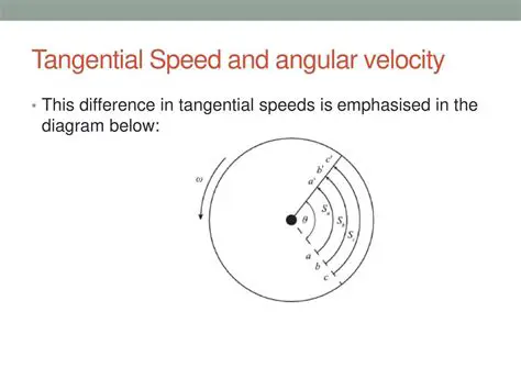 Understanding Tangential Speed