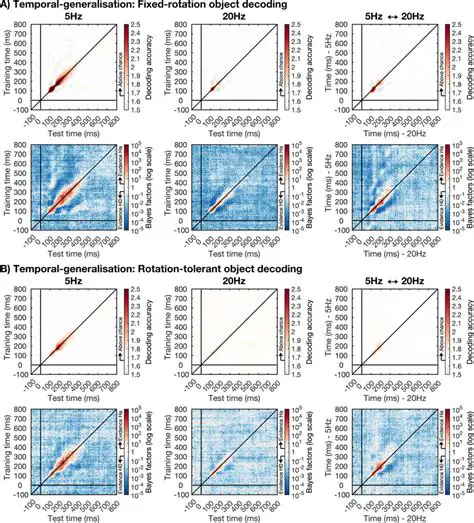 Understanding Temporal Generalisation