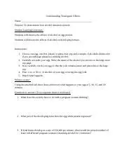 Understanding Teratogenic Effects