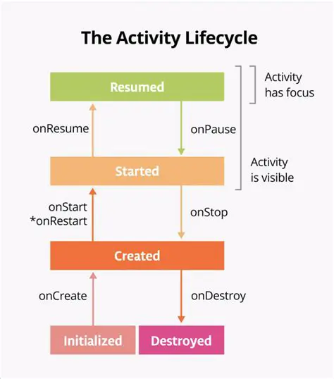Understanding the Activity