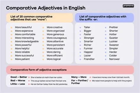 Understanding the Adjectives