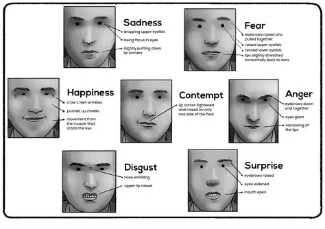 Understanding the Anatomy of Smiling