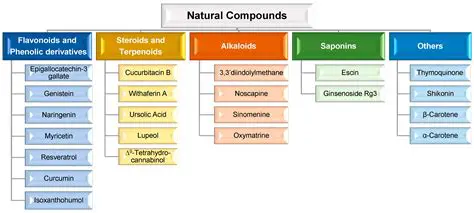 Understanding the antibacterial properties of natural compounds