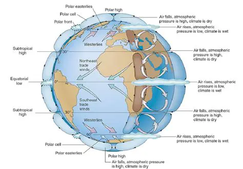 Understanding the Atmospheric Circulation