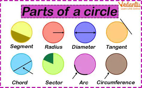 Understanding the Basics of Circles