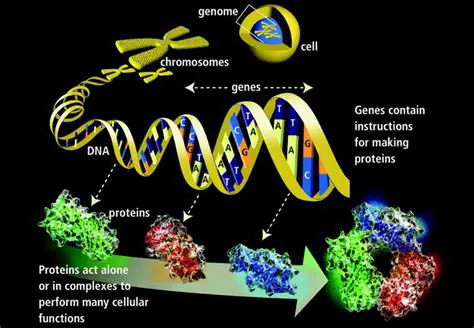 Understanding the Basics of Genetic Material