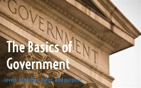Understanding the Basics of Government
