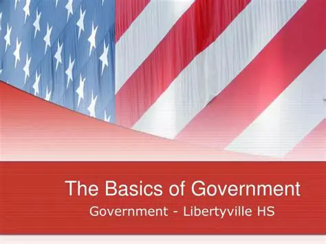 Understanding the Basics of Government and Politics