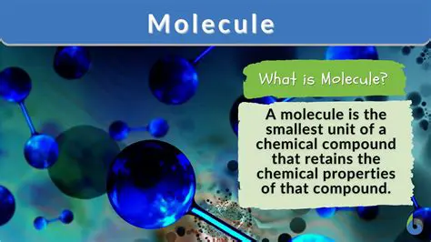 Understanding the Basics of Molecule Shapes