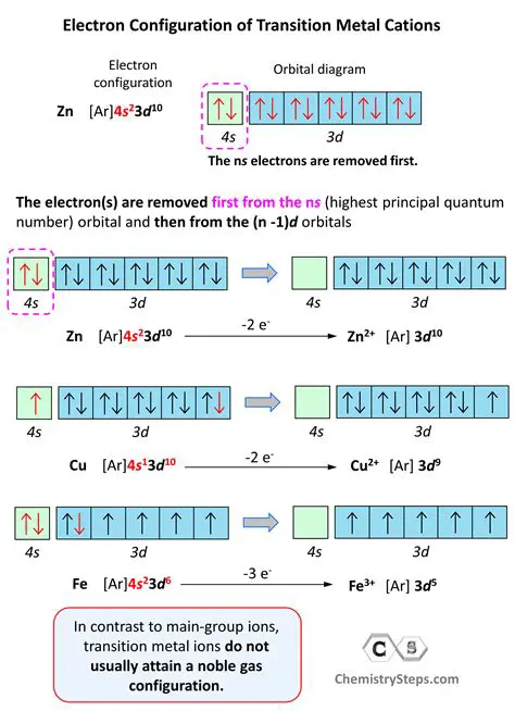 Understanding the Basics of Transition Metal Ions