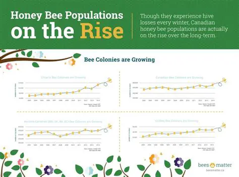 Understanding the Bee Population Data