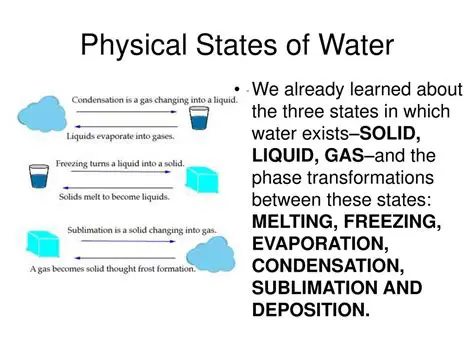 Understanding the behavior of water in its different states