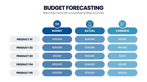 Understanding the Budget Matrix