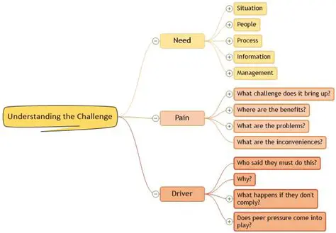 Understanding the Challenge