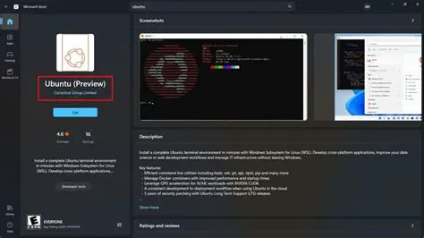 Understanding the Challenges of Installing a Modified Ubuntu Preview Image