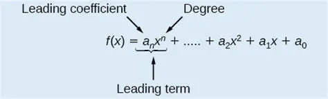 Understanding the Coefficient of a Term
