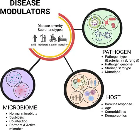 Understanding the Complexity of Infectious Disease Outbreaks