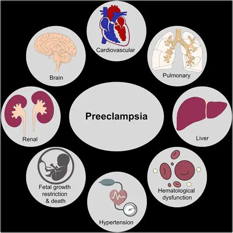 Understanding the Complexity of Preeclampsia and Premature Labor
