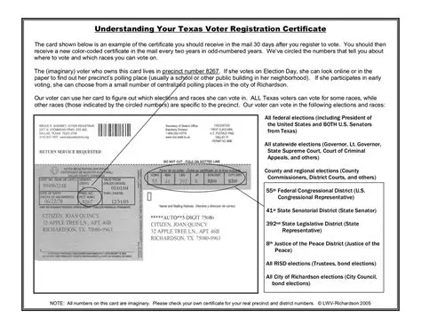 Understanding the Complexity of Voter Registration in Texas