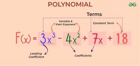 Understanding the Components of the Polynomial