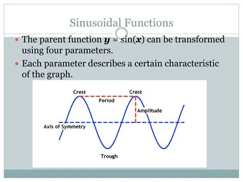 Understanding the Components of the Sinusoidal Function